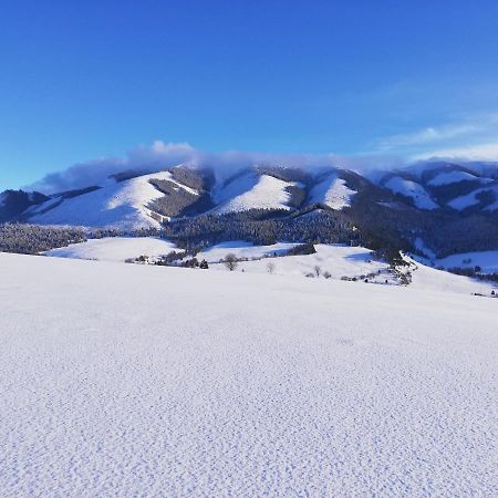 Penzion Baltazar Liptovska Luzna Exteriér fotografie